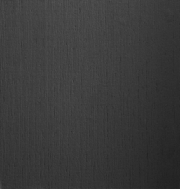 BN Wallcoverings behang zwart Belmont 49549