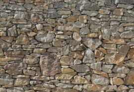 Fotobehang Stone Wall 8-727