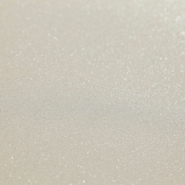 Glitter behang spachtelpoetzprint xxx34