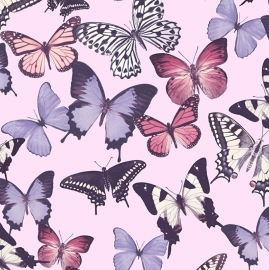 Vlinders Behang roze paars BA2601