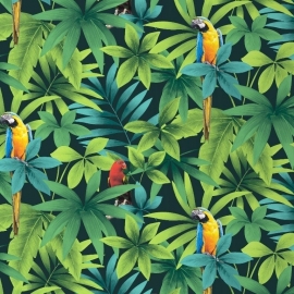 papegaai vogel dieren tropisch behang 