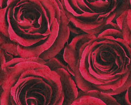 rozen behangpapier floraal  37004-2