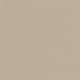 beige behang voelbaarprintr xxxt2