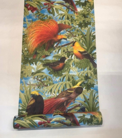 paradijsvogels behang dieren Jungle tropische stijl