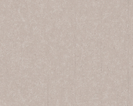 AS Creation AP Beton behang 96134-2