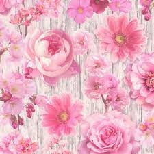 Bloemen behang rose 270556