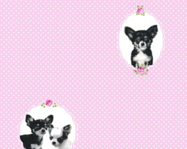 chiwawa hond behang 35851-1