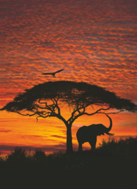 Fotobehang African Sunset  4-501