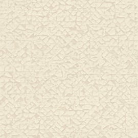 Rasch Kalahari behang 704334