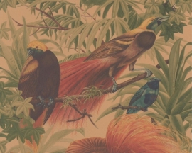 paradijs vogel behang 6954-37 dieren  tropisch