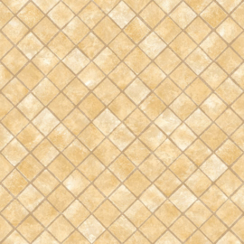 Dutch Hexagone Ruit behang L44902