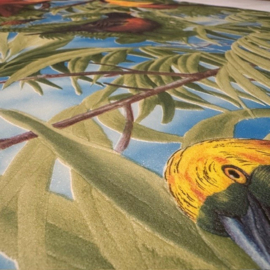 paradijsvogels behang dieren Jungle tropische stijl