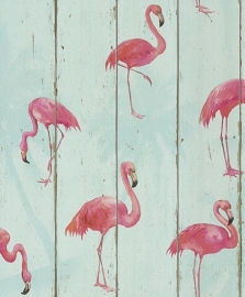 flamingo behang vogel dieren   479706