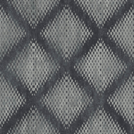 Dutch Hexagone Ruit behang L60009