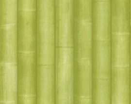 bamboe behangpapıer groen 96184-3
