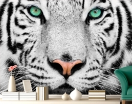 Fotobehang witte tijger