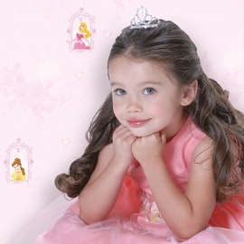 Disney Princess Fairytale Dream behang DF71699
