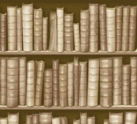 boekenkast behang 3d f92307