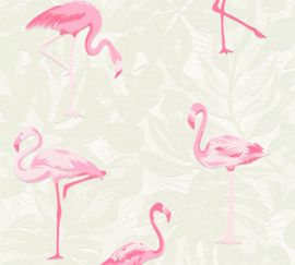 Flamingo behang 35980-1