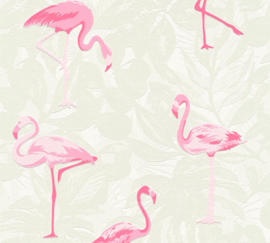 Flamingo behang vogel 35980-1