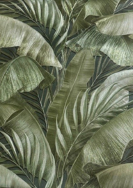 Jungle behang glitter grote bladeren groen