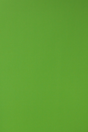 Groen behang 44608