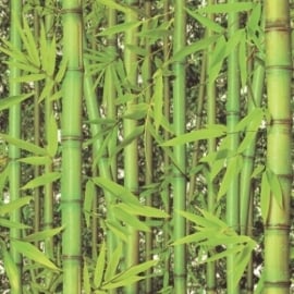 Bamboe Behang J780-04