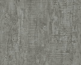 AS Creation AP Beton behang 96038-1