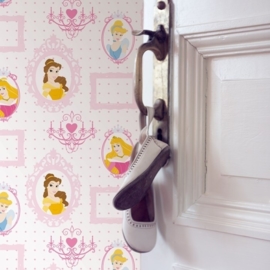 Disney Princess Frames behang DF71799