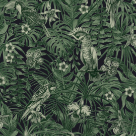 tropical behang papegaai 37210-1