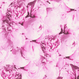 Bloemen behang 37398-1