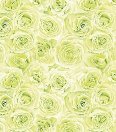 Bloemen rozen Vlies behangpapier groen 6440-03 modern
