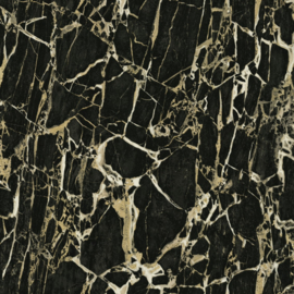 Dutch First Class Carrara 3 behang Leonardo Marble 84601