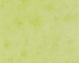 Behangpapier Uni Groen 6888-66