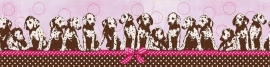 Behangrand dalmatiers