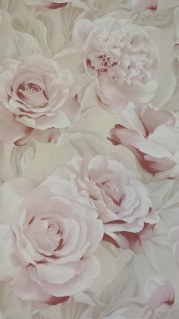 moe Op en neer gaan geschenk roze rozen behang xx24 | Bloemen | onlinebehangpapier