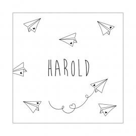 Geboortekaartje Harold Paper Planes
