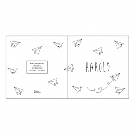 Geboortekaartje Harold Paper Planes