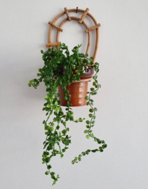 VINTAGE MUURBLOEMPOT