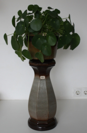 VINTAGE BAY BLOEMPOT & PLANTENZUIL