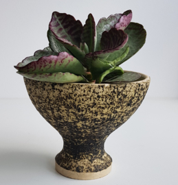 VINTAGE BERKENBAST BLOEMPOT