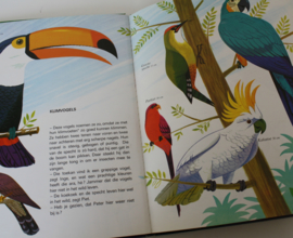 THEMA BOEK VOGELS