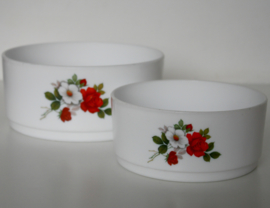 PYREX SCHALEN SET