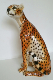 HOLLYWOOD REGENCY CHEETAH / LUIPAARD BEELD