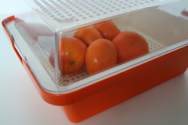 RETRO FRUITBAK