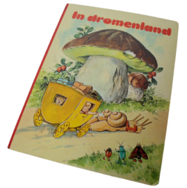 BOEK "IN DROMENLAND"