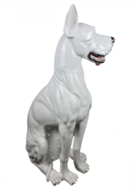VINTAGE BEELD DEENSE DOG, ITALY, 1960S