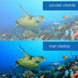 Snorkelbril op sterkte