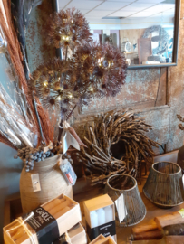 Decoratieve Berenklauw met Lichtjes