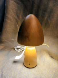 Oplaadbare Lamp